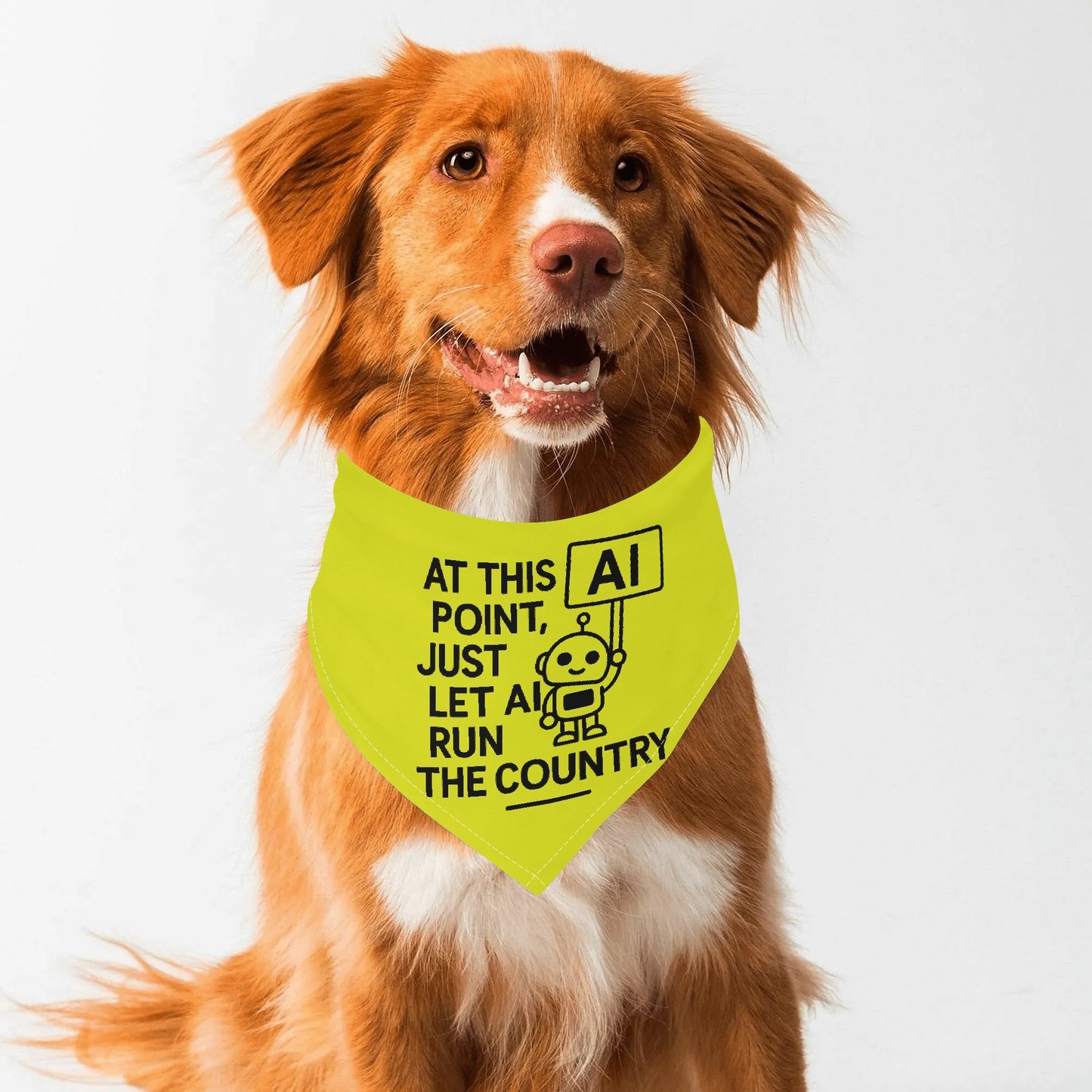 filename-1764471516-1-BSz6LRiLtR