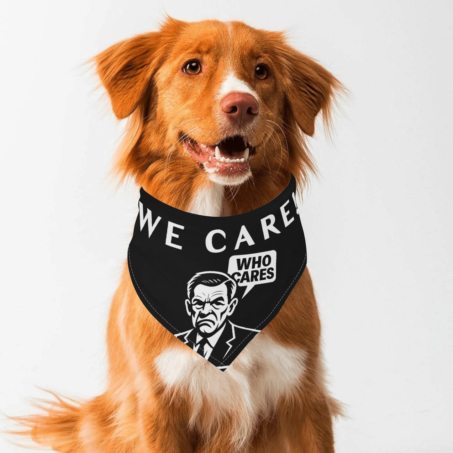 filename-1764471516-1-JGxyijBmav