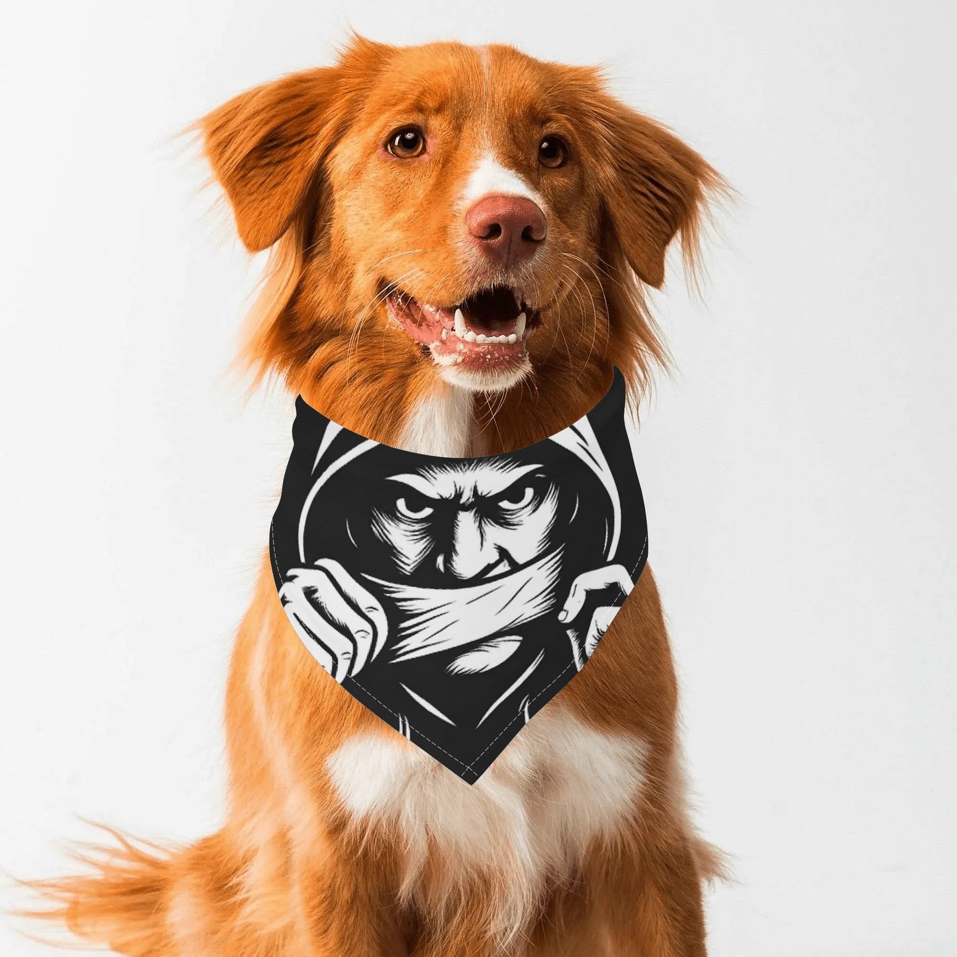 filename-1764471516-1-kGhp8zL9PJ