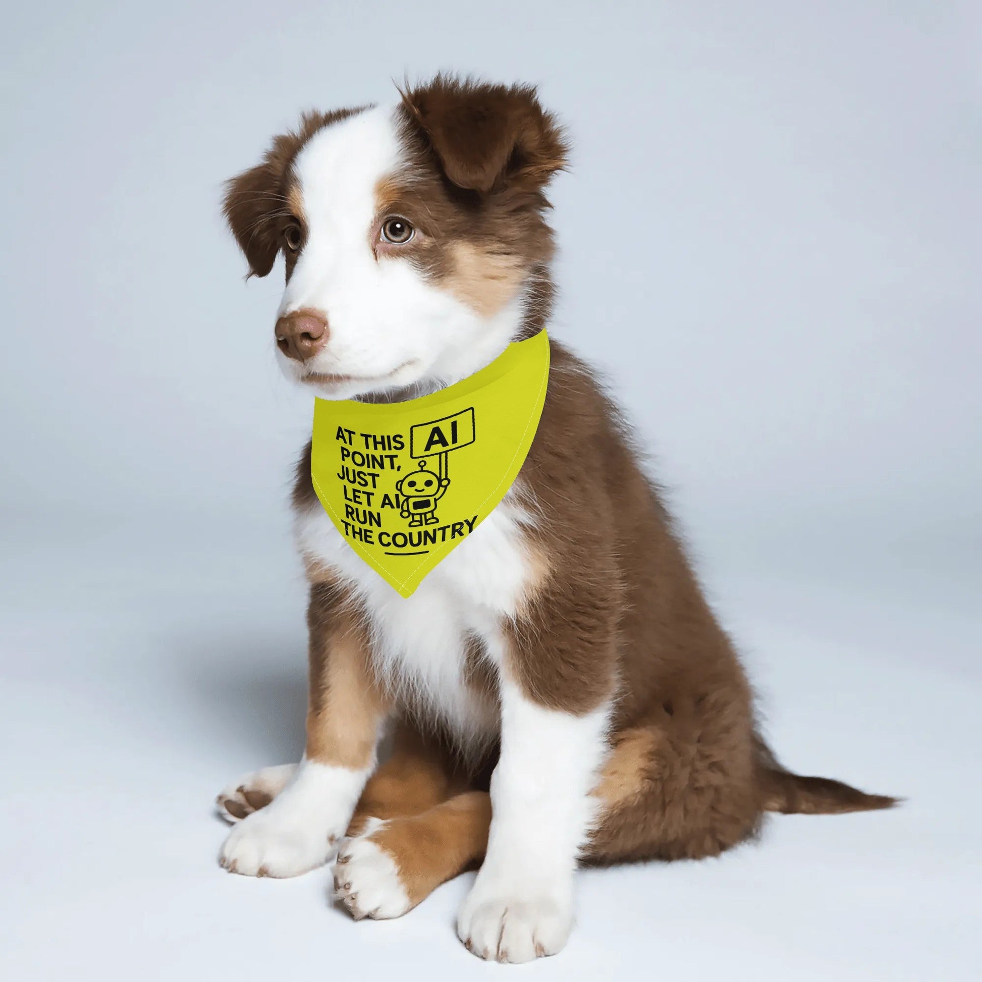 filename-1764471516-3-BSz6LRiLtR