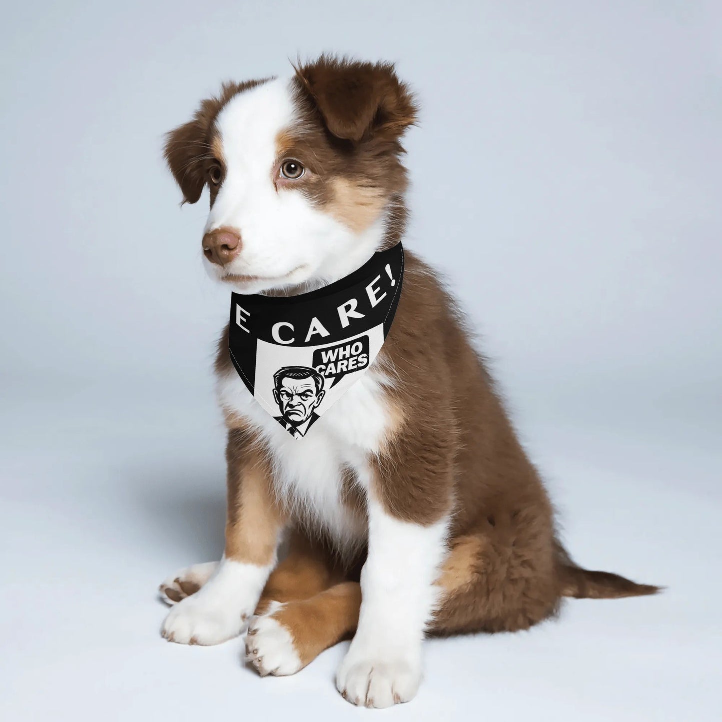 filename-1764471516-3-IpzdEUoXWM