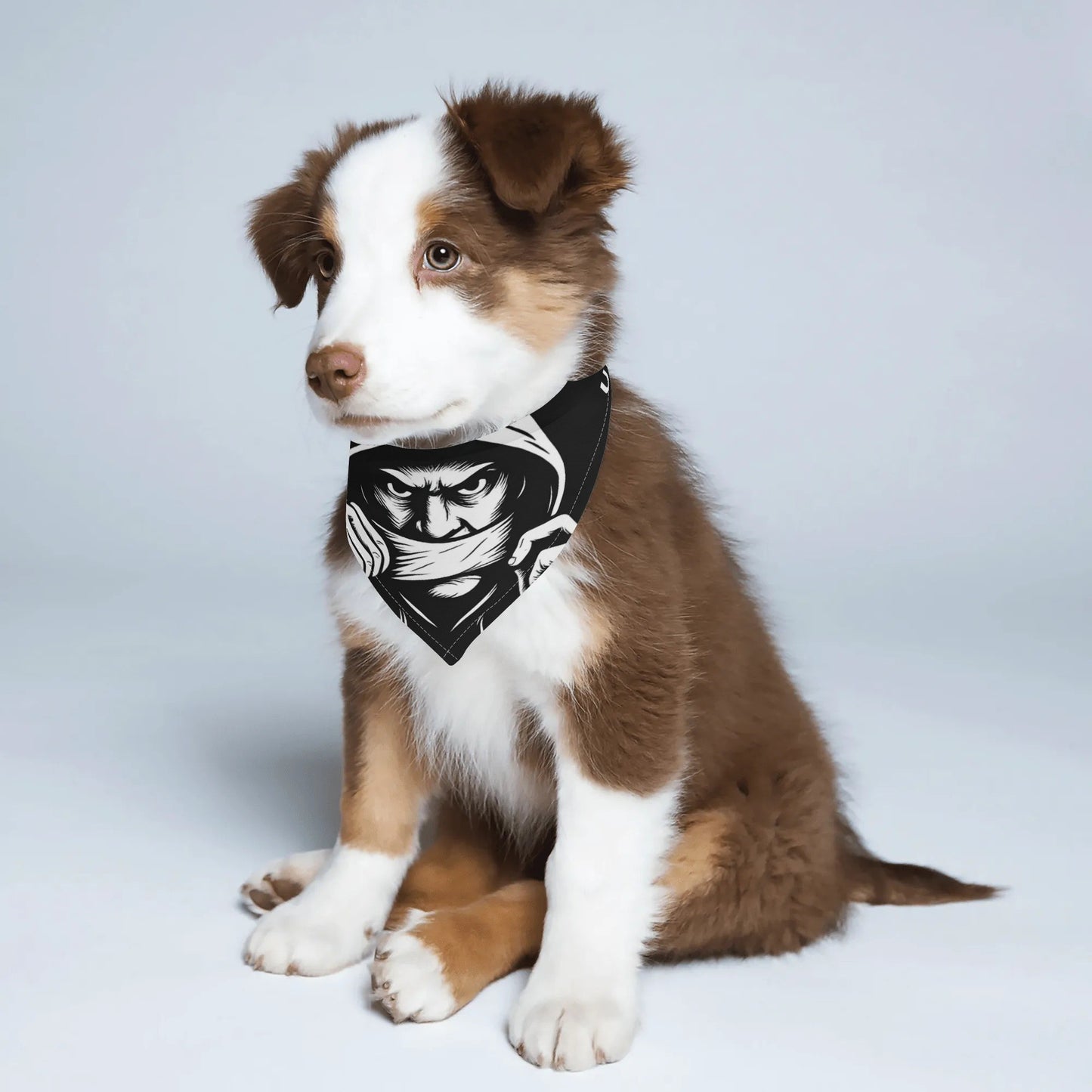 filename-1764471516-3-kGhp8zL9PJ