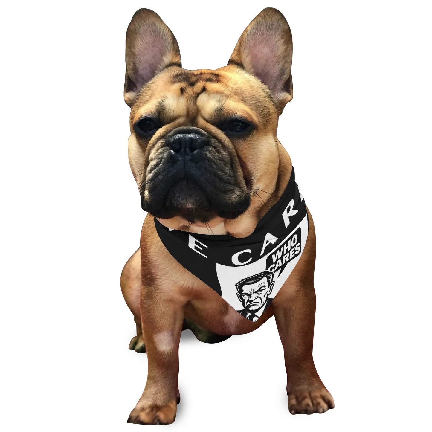 filename-1764471516-4-IpzdEUoXWM