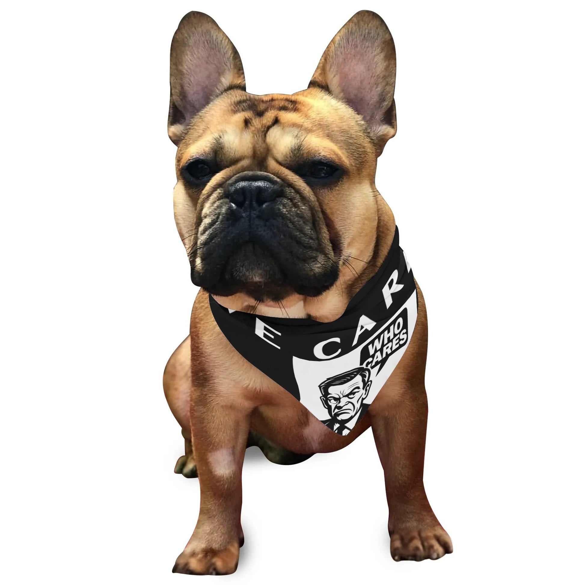 filename-1764471516-4-IpzdEUoXWM