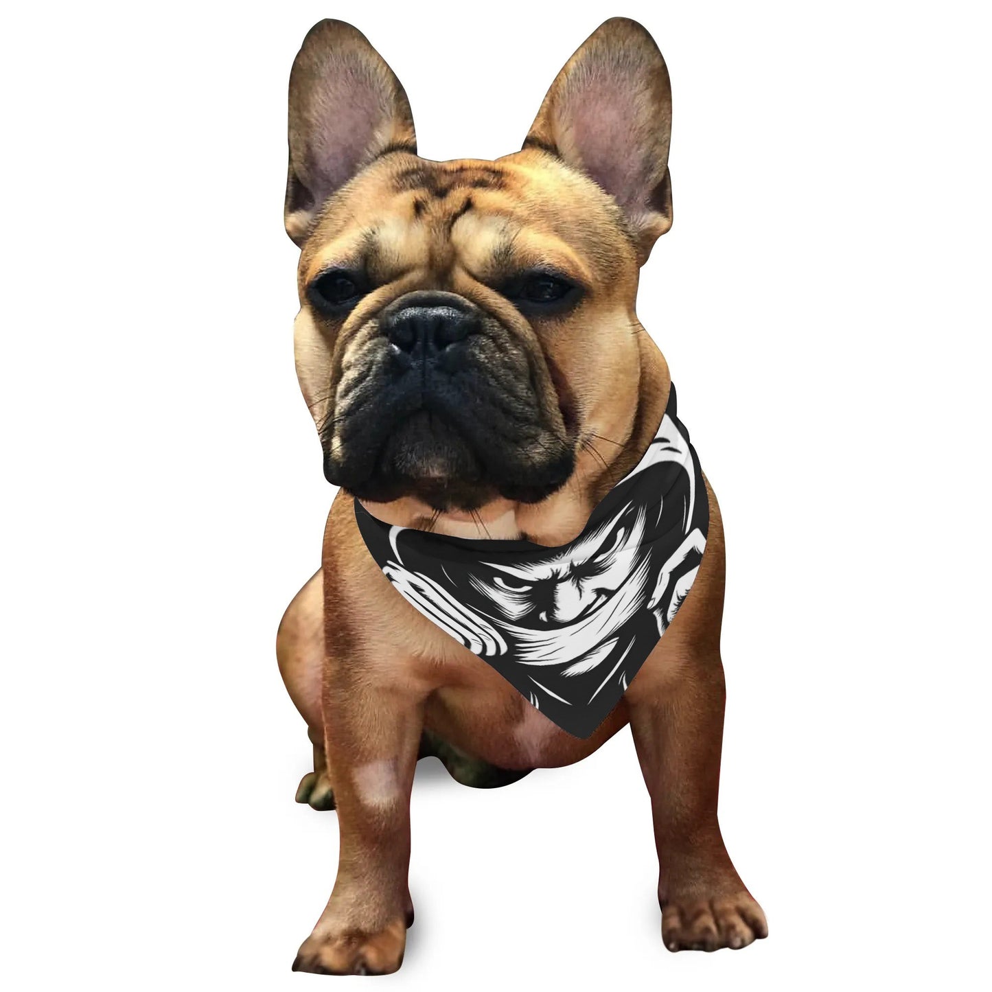 filename-1764471516-4-kGhp8zL9PJ