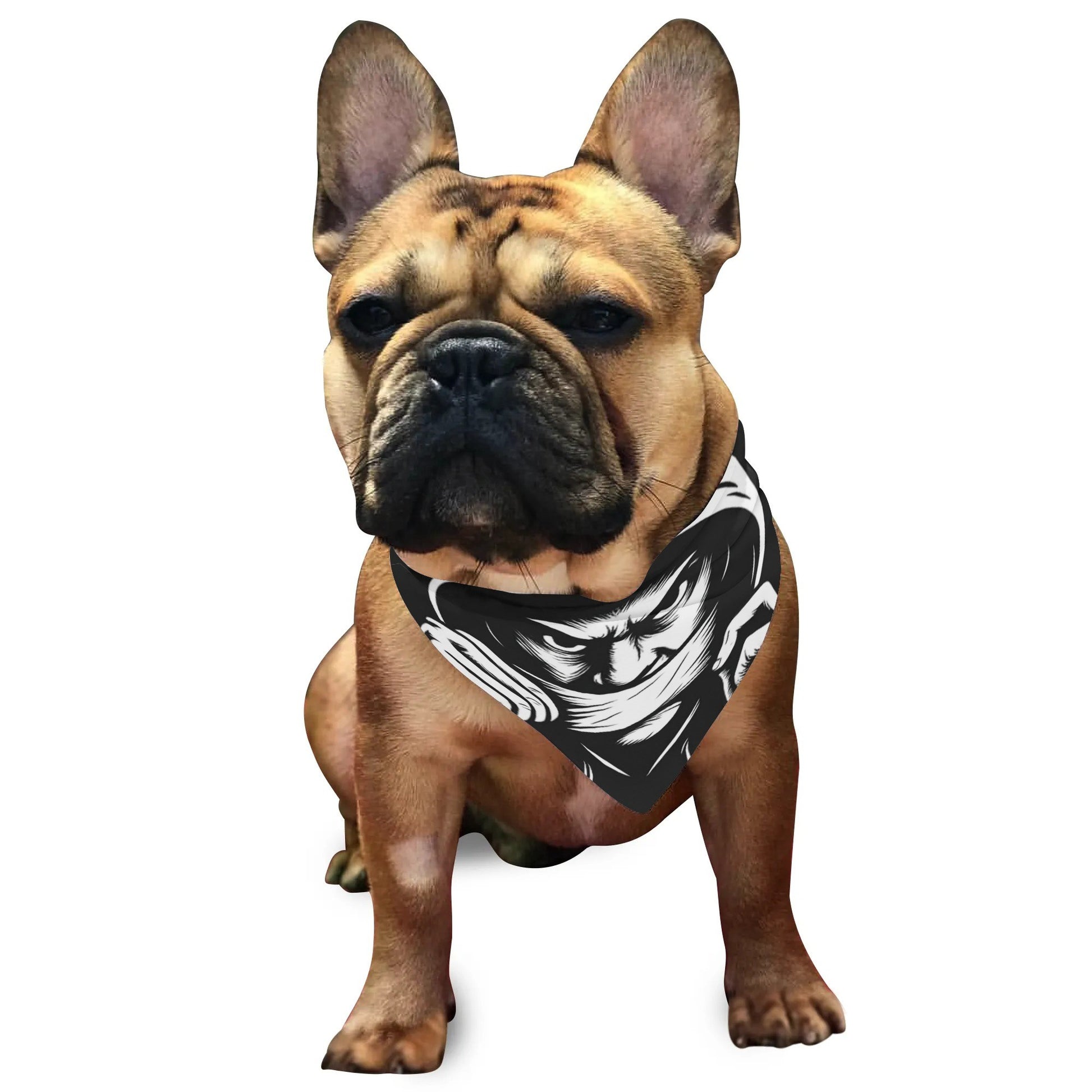 filename-1764471516-4-kGhp8zL9PJ